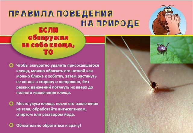 IMG 20200527 121059 838
